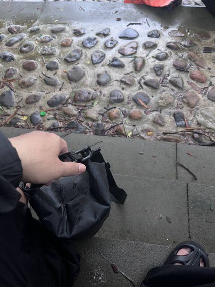 chat looking for friends 