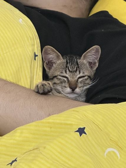 chat find 2nd love, single 
