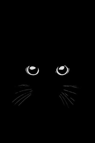 chat looking for friends  from Nonthaburi