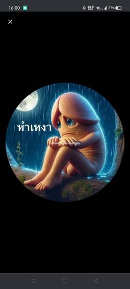 แชท หาแฟน, หาเพื่อนคุย 