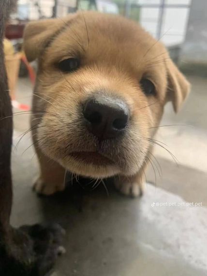 แชท หาแฟน, หาเพื่อนคุย  ที่อยู่ กรุงเทพมหานคร