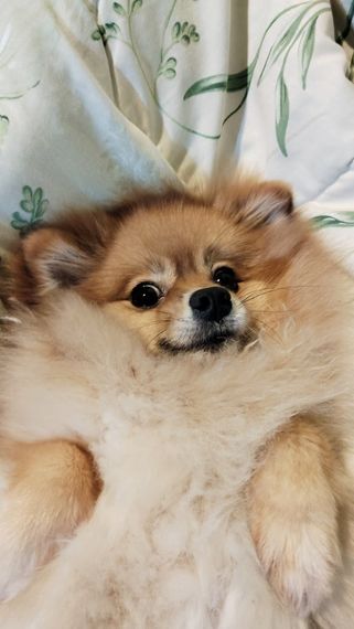 chat find love, chat  from Bangkok