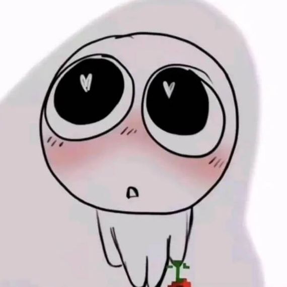 แชท หาเพื่อนคุย, แชทเปิดกล้อง 