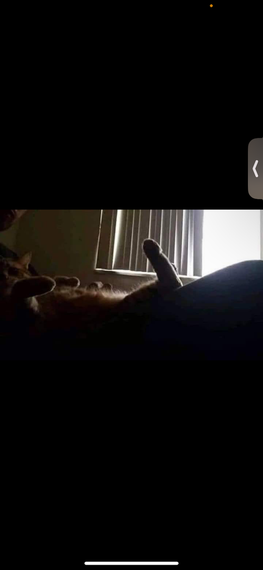 chat looking for friends 