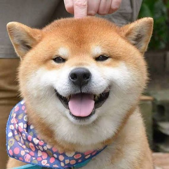 แชท หาเพื่อนคุย, หาเพื่อนเที่ยว 