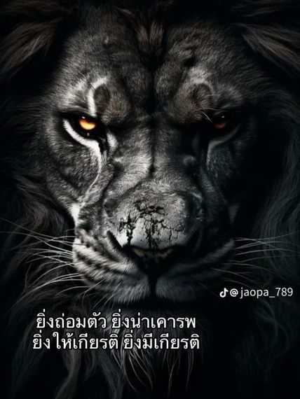 แชท หาเพื่อนคุย, หากิ๊ก 