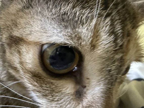 chat looking for friends 