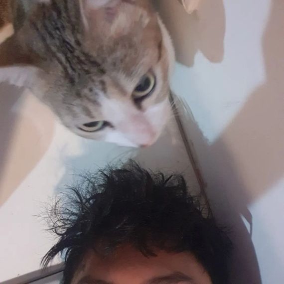 แชท หาเพื่อนคุย 