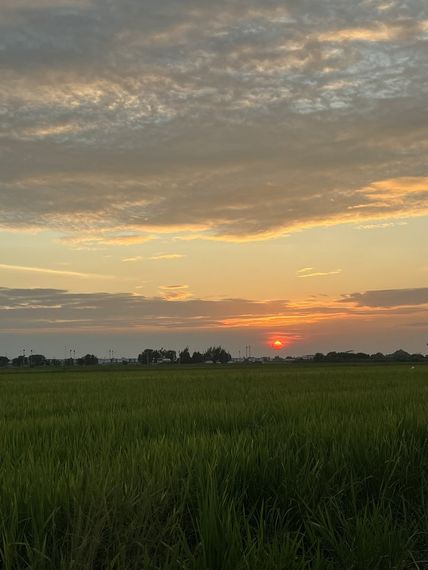 แชท หาเพื่อนคุย, แชทเปิดกล้อง  ที่อยู่  สิงห์บุรี
