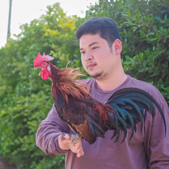 แชท หาเพื่อนคุย 