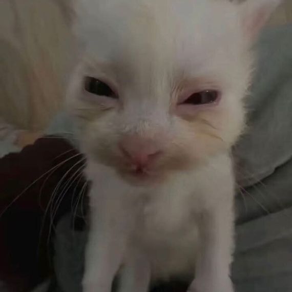 chat looking for friends 