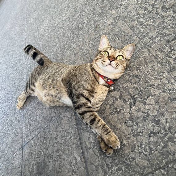 แชท หาเพื่อนคุย, หากิ๊ก  ที่อยู่ กรุงเทพมหานคร