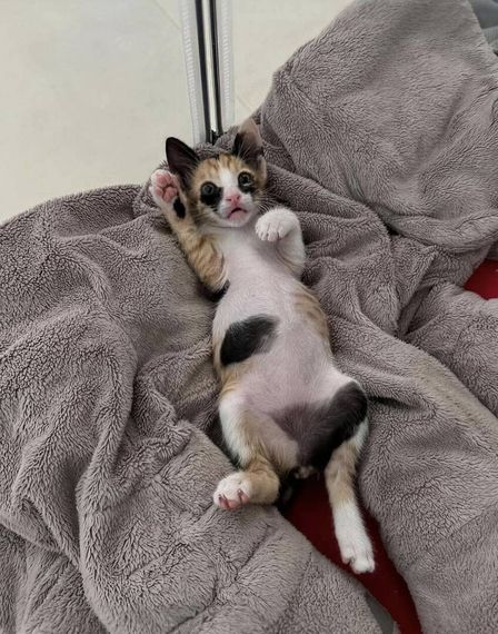 แชท หาแฟน, หาเพื่อนคุย 