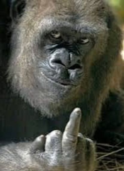 แชท หาแฟน, หาเพื่อนคุย 