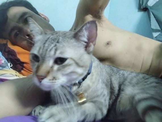 แชท หากิ๊ก 