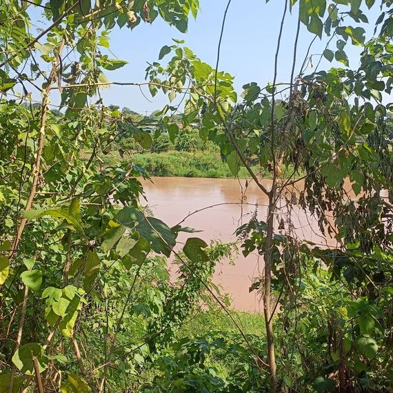 แชท หาเพื่อนคุย, โสด 