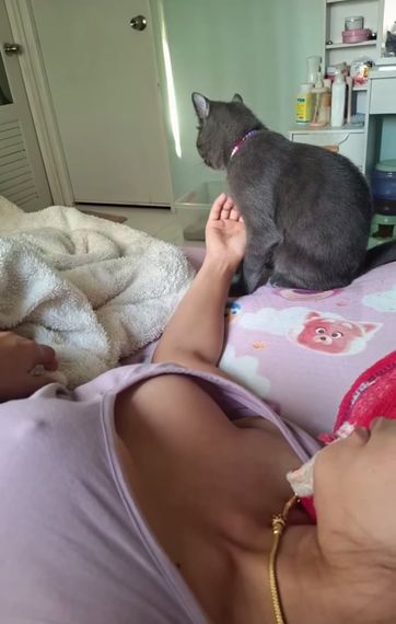 แชท หาเพื่อนคุย 