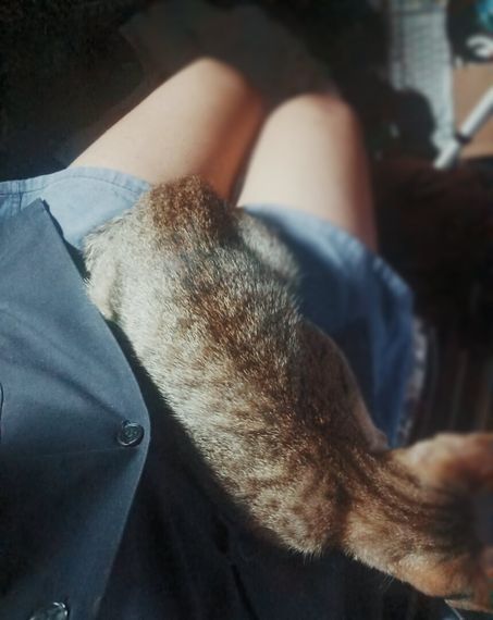 chat looking for friends  from Khon Kaen