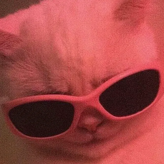 chat looking for friends 