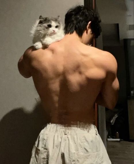 แชท แชทสมมุติ 