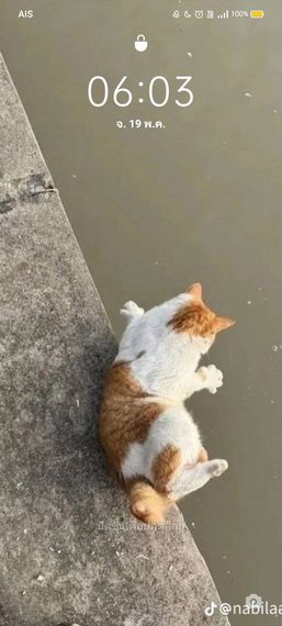 แชท หาเพื่อนคุย, โสด 