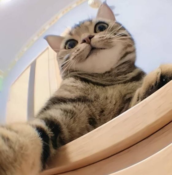แชท หาเพื่อนคุย  ที่อยู่  เชียงใหม่