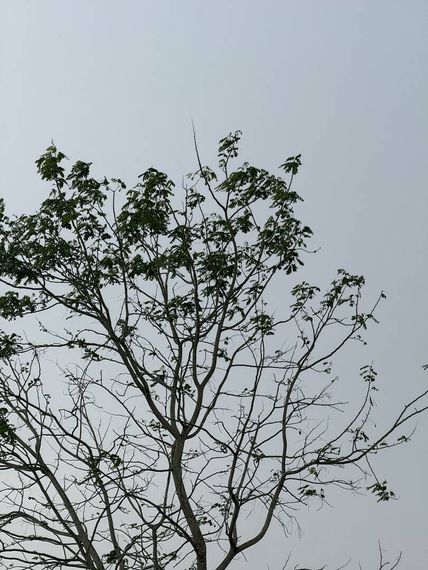 แชท หาเพื่อนคุย, หากิ๊ก  ที่อยู่  นนทบุรี