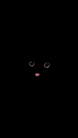 chat looking for friends 
