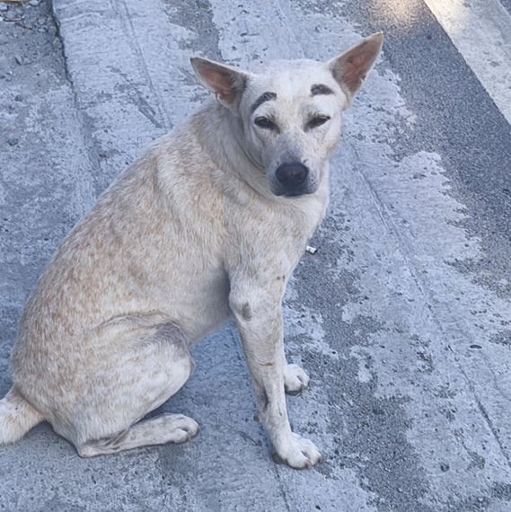 แชท หาเพื่อนคุย  ที่อยู่ กรุงเทพมหานคร