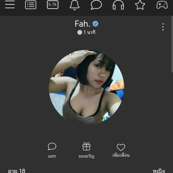 แชท หาเพื่อนคุย