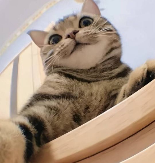 แชท หาเพื่อนคุย  ที่อยู่  เชียงใหม่