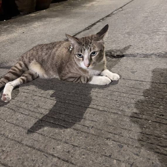 แชท หาแฟน, แชทเปิดกล้อง  ที่อยู่ กรุงเทพมหานคร