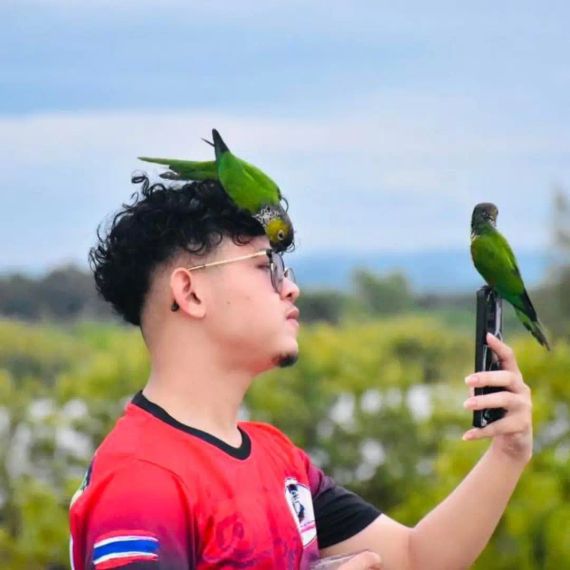 แชท หากิ๊ก 