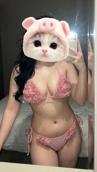 แชท หาเพื่อนคุย, โสด ที่อยู่ เชียงราย