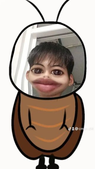 แชท หาเพื่อนคุย, โสด 