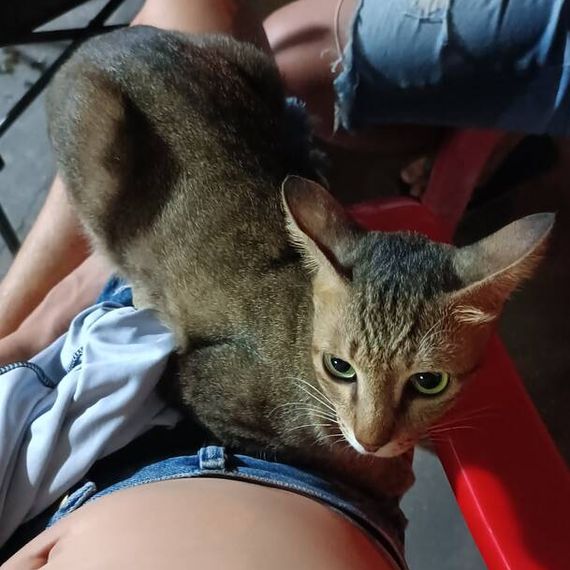 แชท หาเพื่อนคุย  ที่อยู่  ลพบุรี