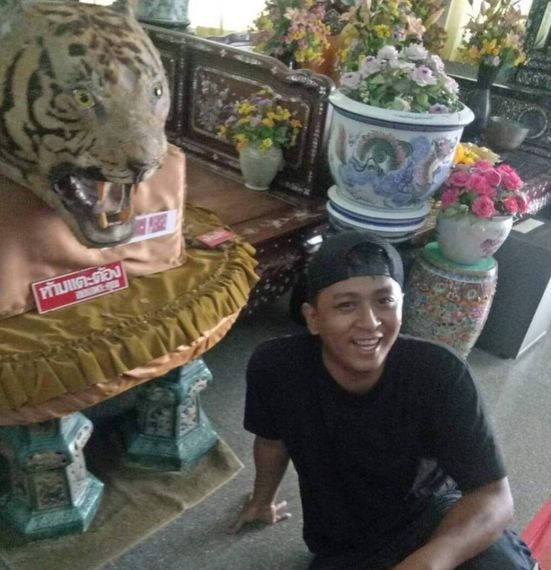 แชท หาแฟน, หาเพื่อนคุย 