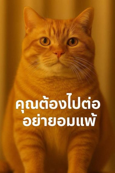 แชท หาแฟน 