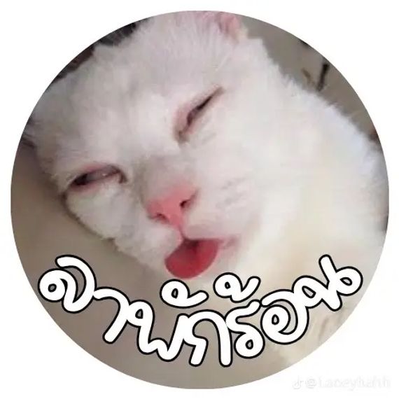 แชท หาเพื่อนคุย ที่อยู่ ปทุมธานี