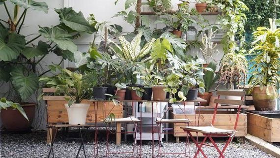 chat looking for friends 