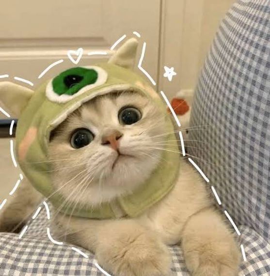 แชท หาเพื่อนคุย, หาเพื่อนไลน์ 