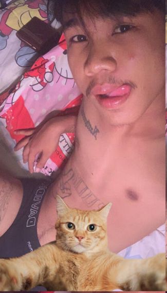 แชท หาเพื่อนคุย 