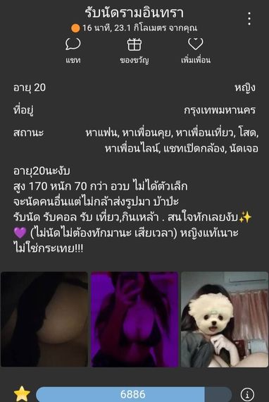 แชท หาเพื่อนคุย 