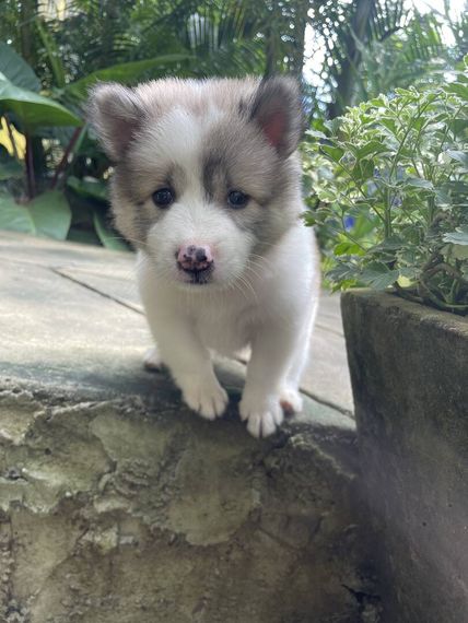 chat looking for friends 