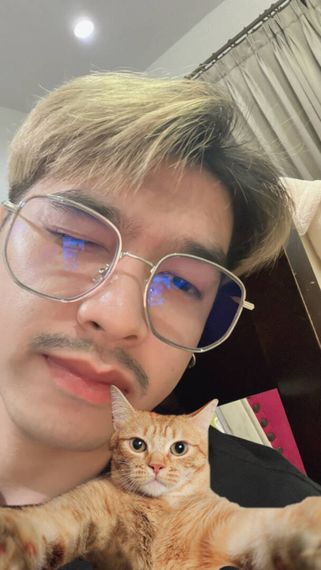 แชท โสด 