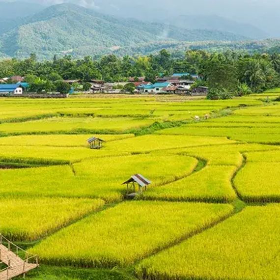 แชท หาเพื่อนคุย, หาเพื่อนเที่ยว  ที่อยู่ กรุงเทพมหานคร