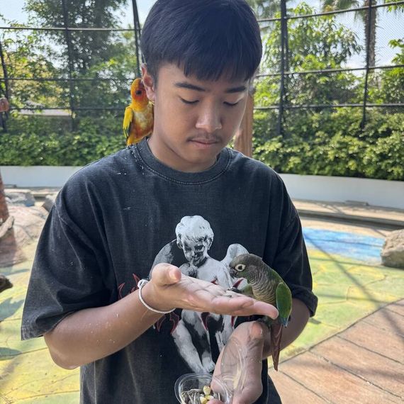 แชท หาเพื่อนคุย 