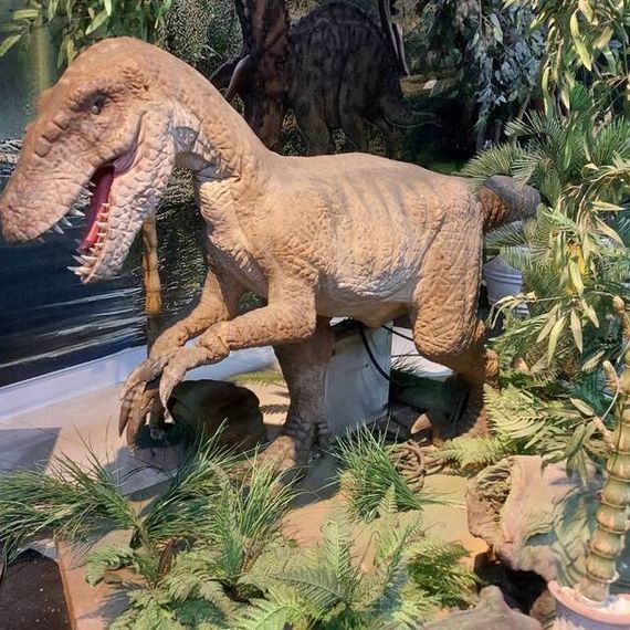 แชท หาแฟน, หาเพื่อนคุย