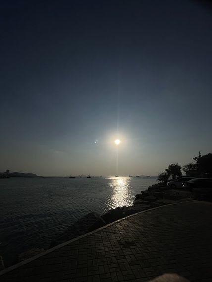 chat single, camera chat 