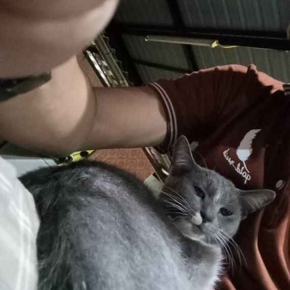 แชท หาแฟน, หาเพื่อนคุย  ที่อยู่ กรุงเทพมหานคร